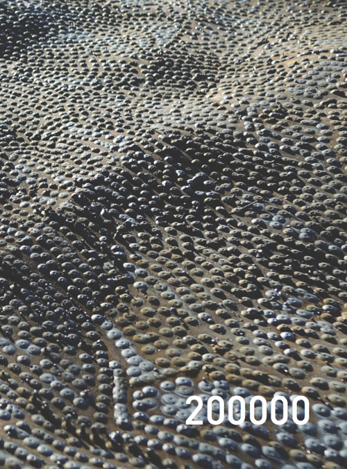 200000. Catalogo della mostra (Milano, marzo 2016)