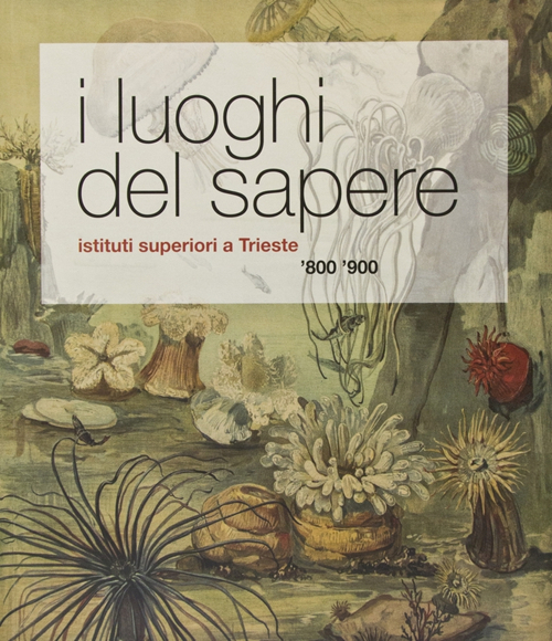 I luoghi del sapere. Istituti superiori a Trieste. '800 '900