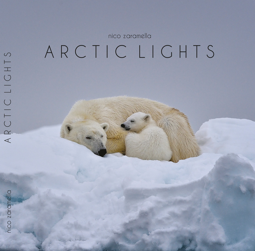 Artic lights