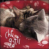 Che gatti