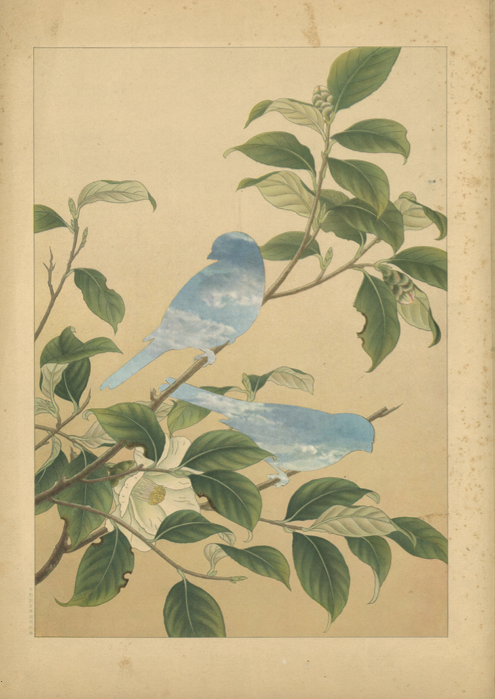 Statements on appropriation-Dichiarazioni sull'appropriazione