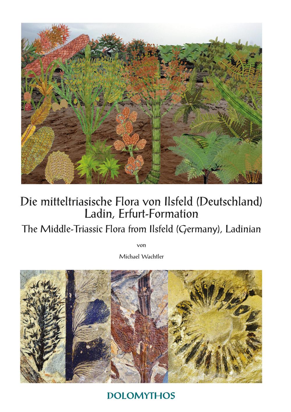 Die mitteltriasische Flora von Ilsfeld (Deutschland) Ladin, Erfurt-Formation­The Middle-Triassic Flora from Ilsfeld (Germany), Ladinian