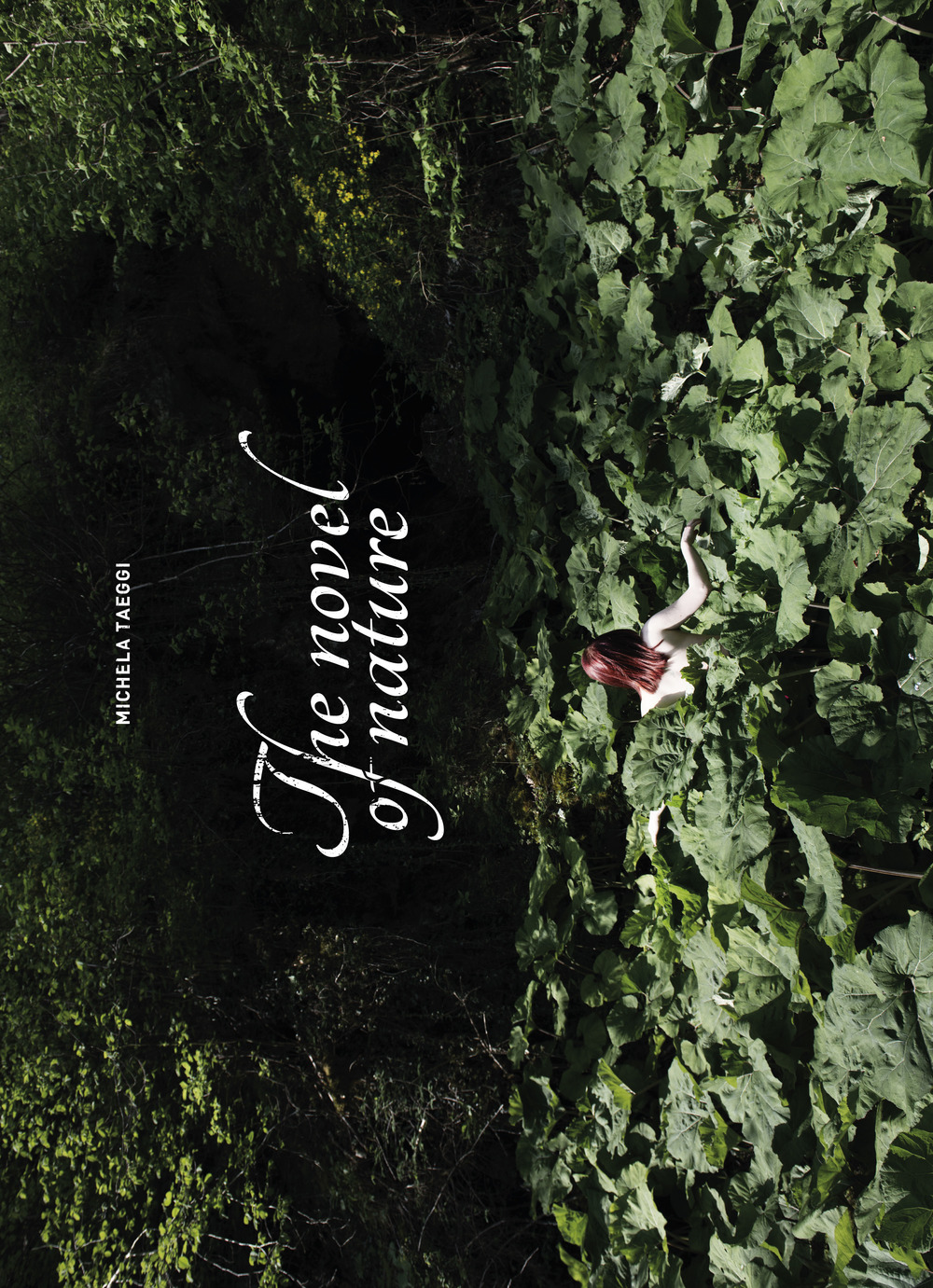 The novel of nature