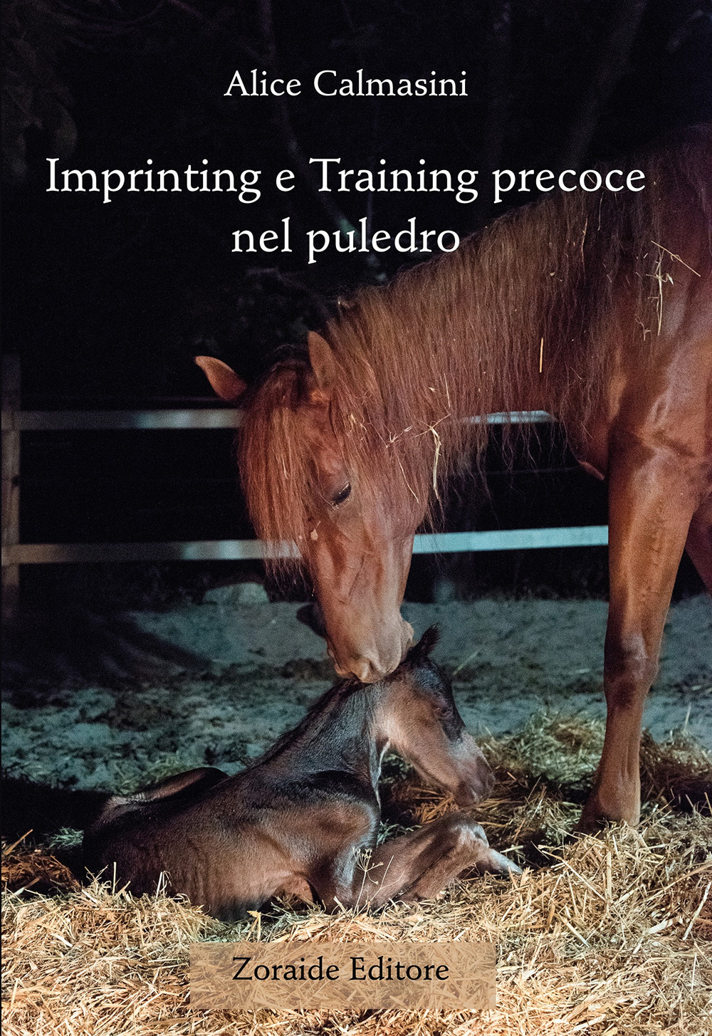 Imprinting e training precoce nel puledro