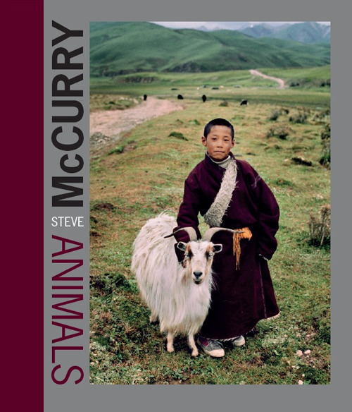Steve McCurry. Animals