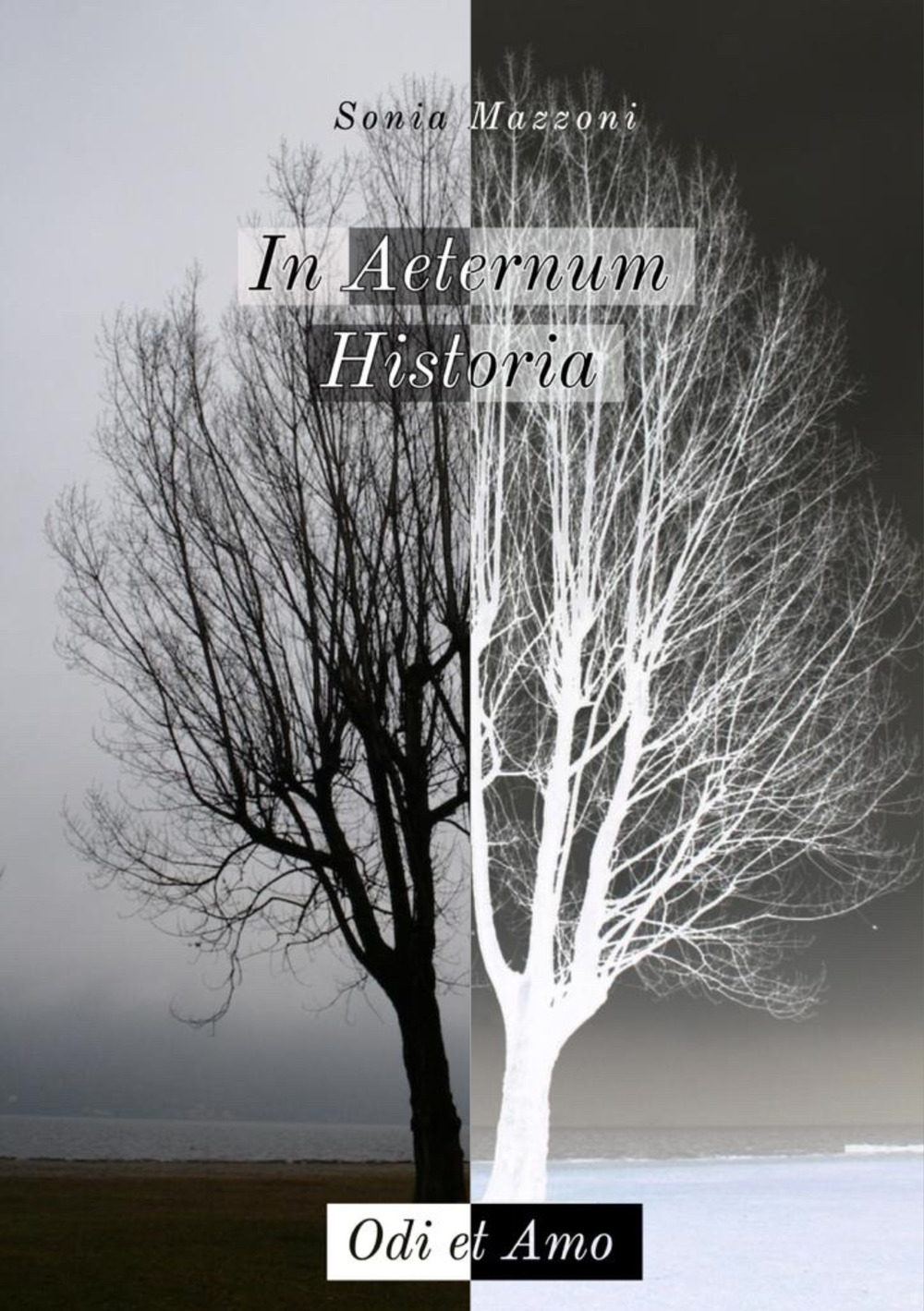 In aeternum historia. Odi et amo