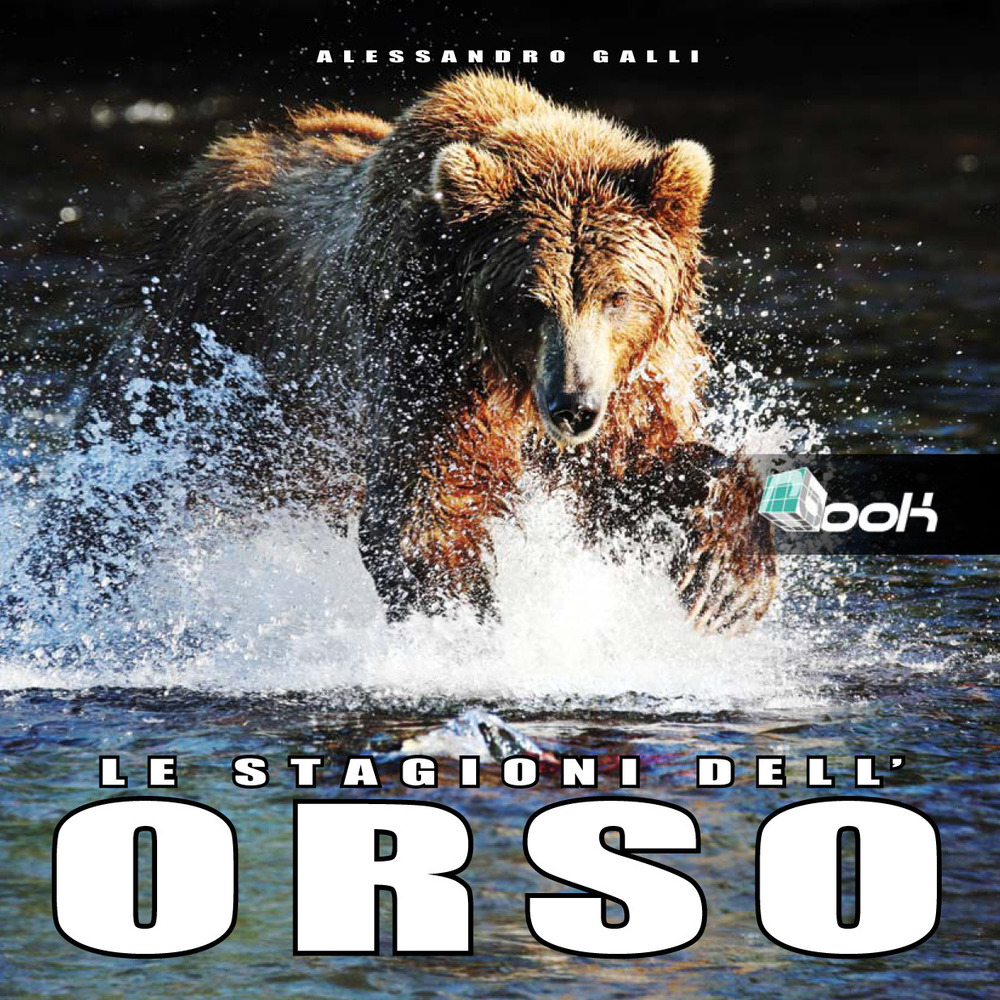Le stagioni dell'orso