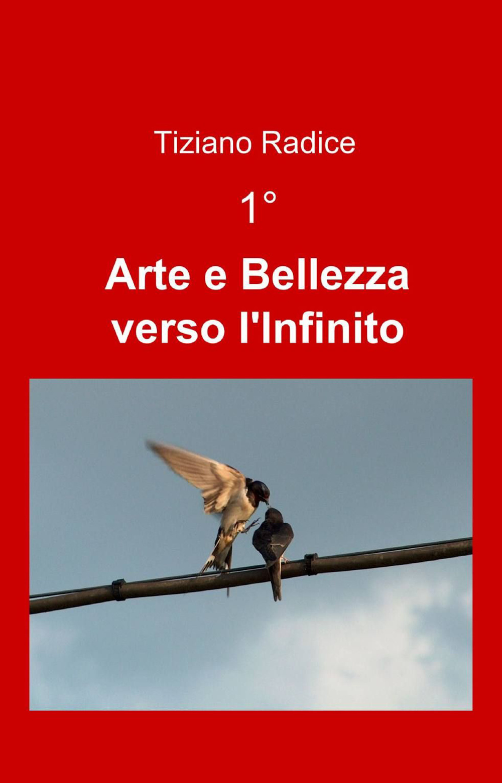 Arte e Bellezza verso l'Infinito. Vol. 1