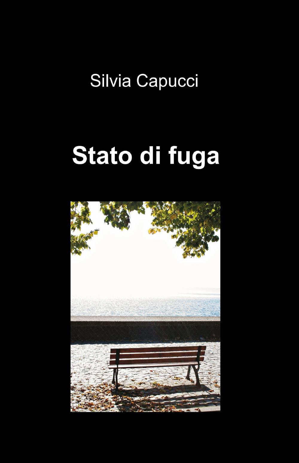 Stato di fuga