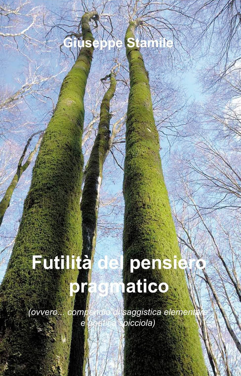 Futilità del pensiero pragmatico