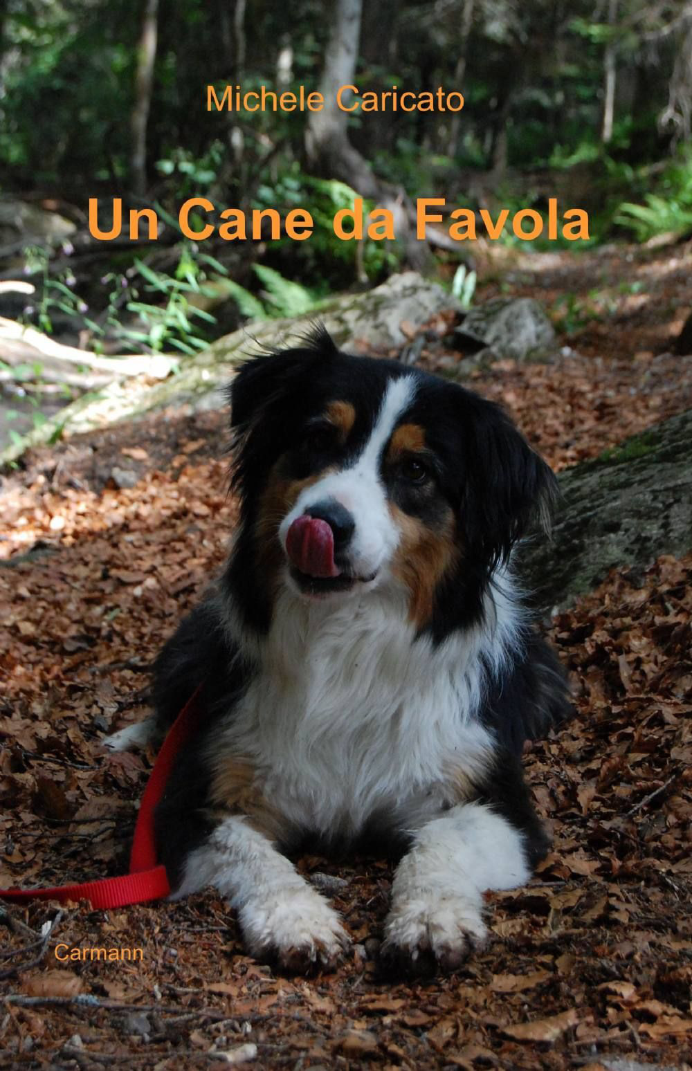 Un cane da favola