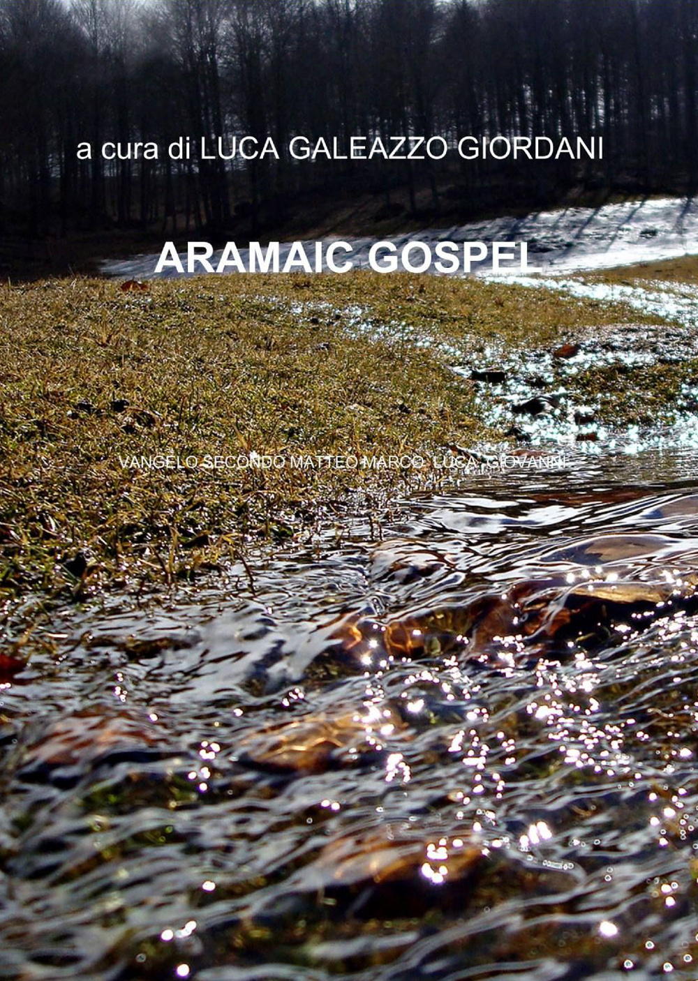 Nuovo testamento ebraico-francese