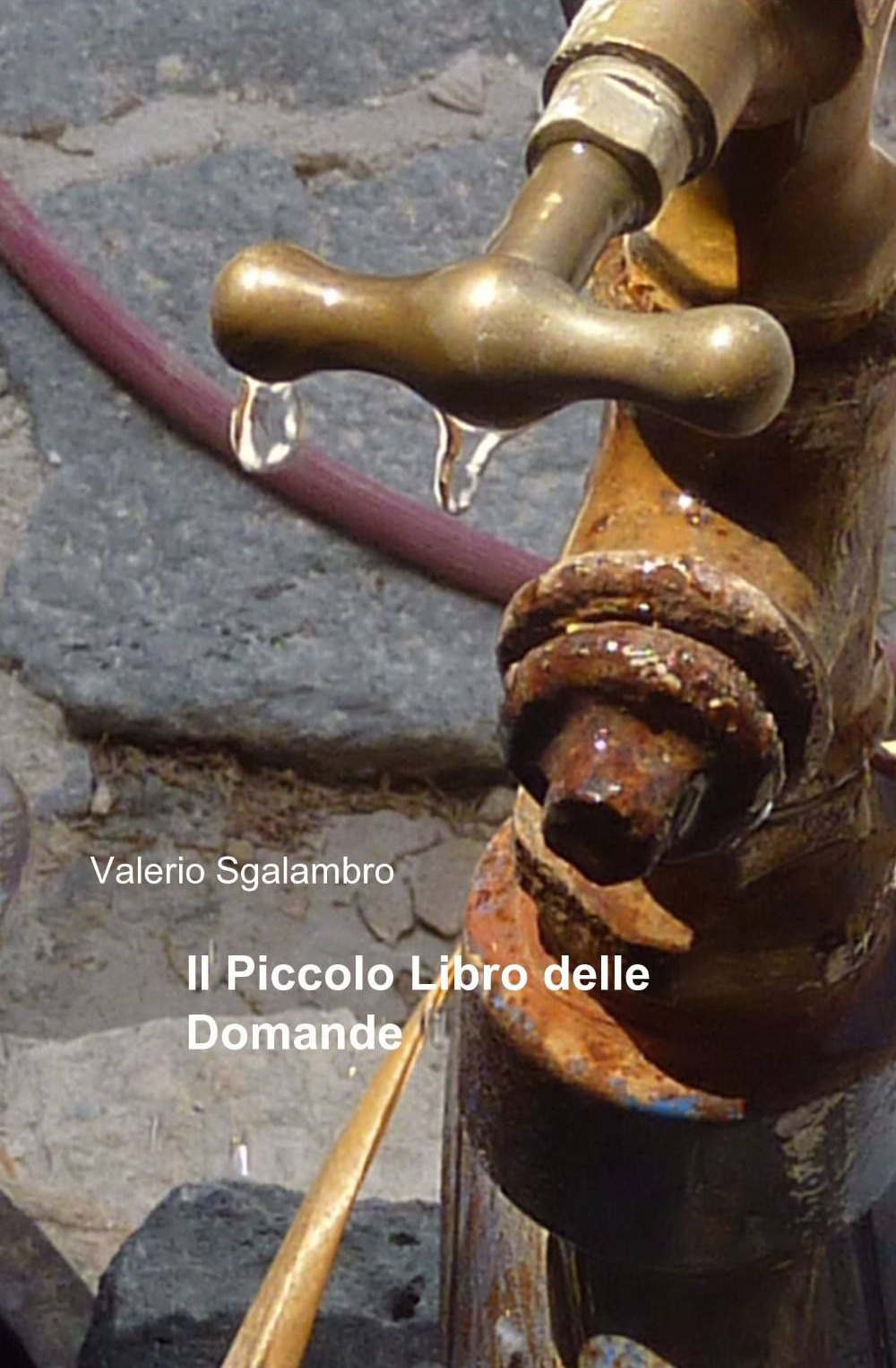 Il piccolo libro delle domande