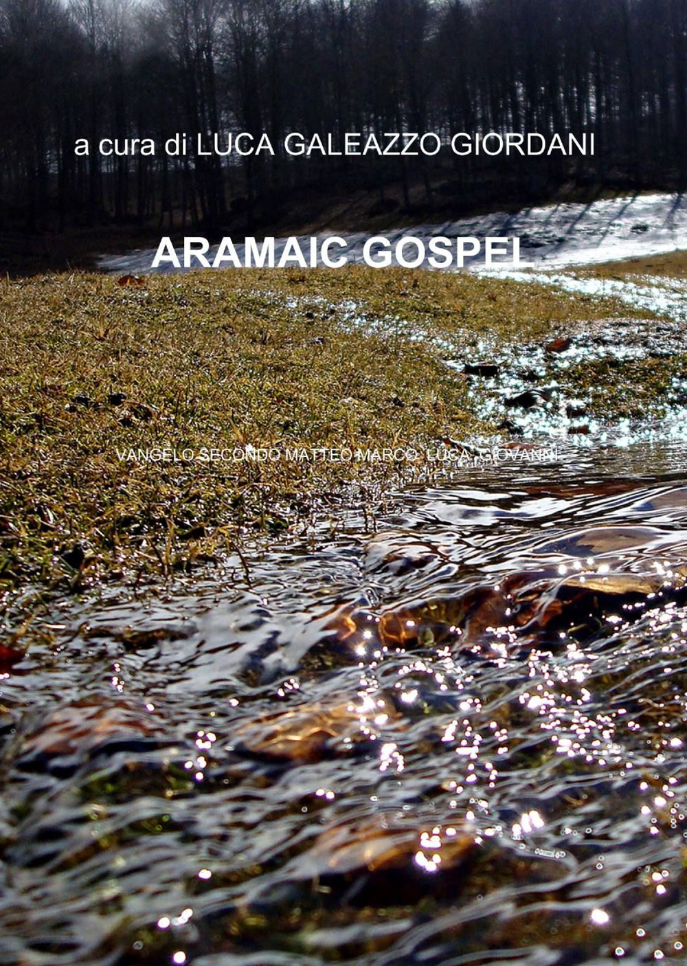 Nuovo testamento. Ediz. ebraica e francese