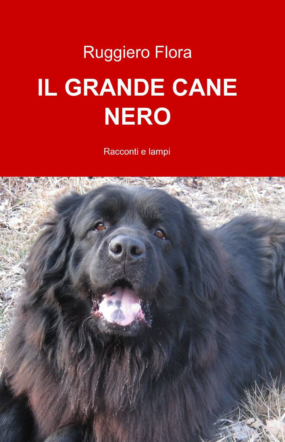 Il grande cane nero