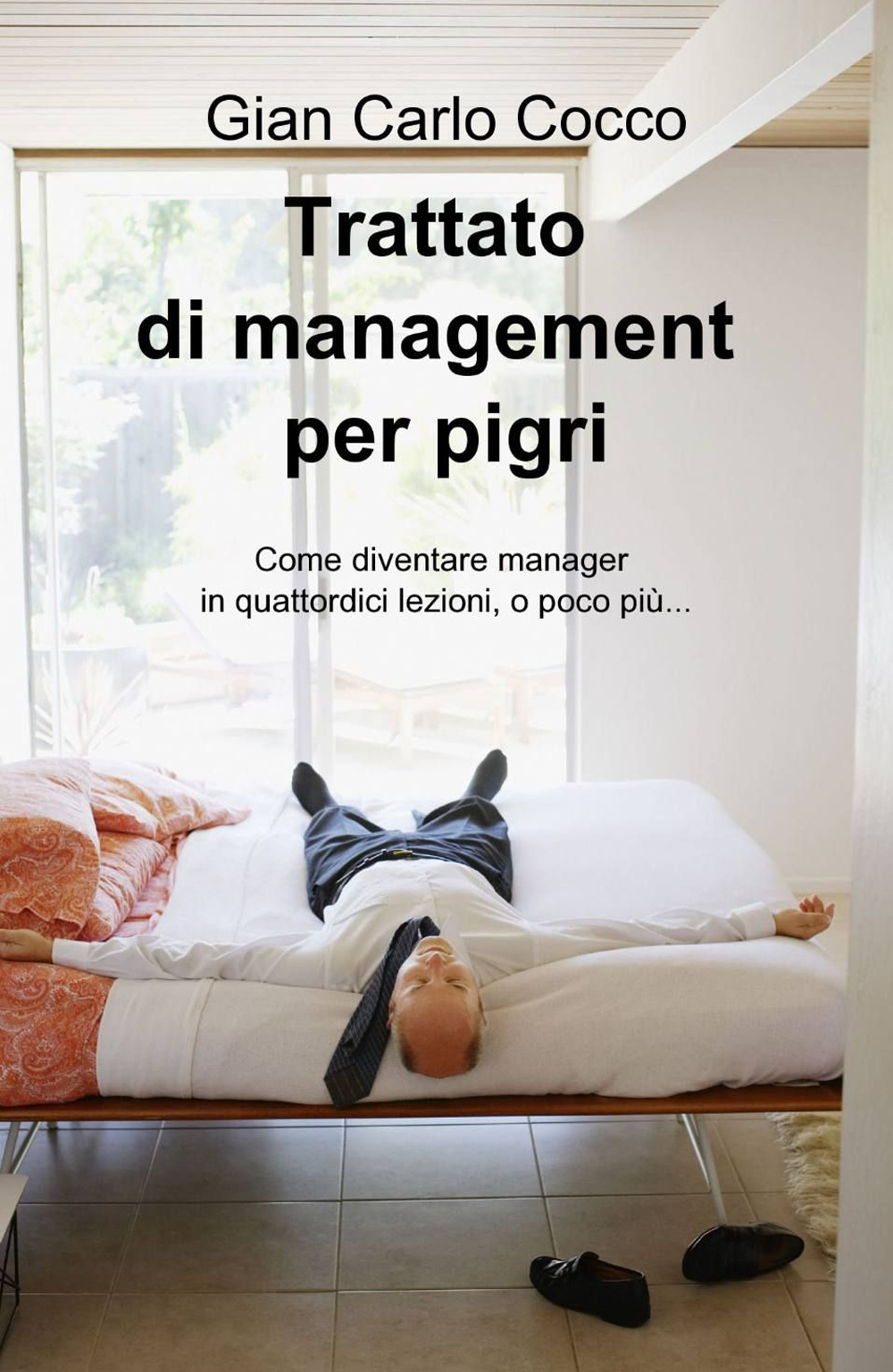 Trattato di management per pigri