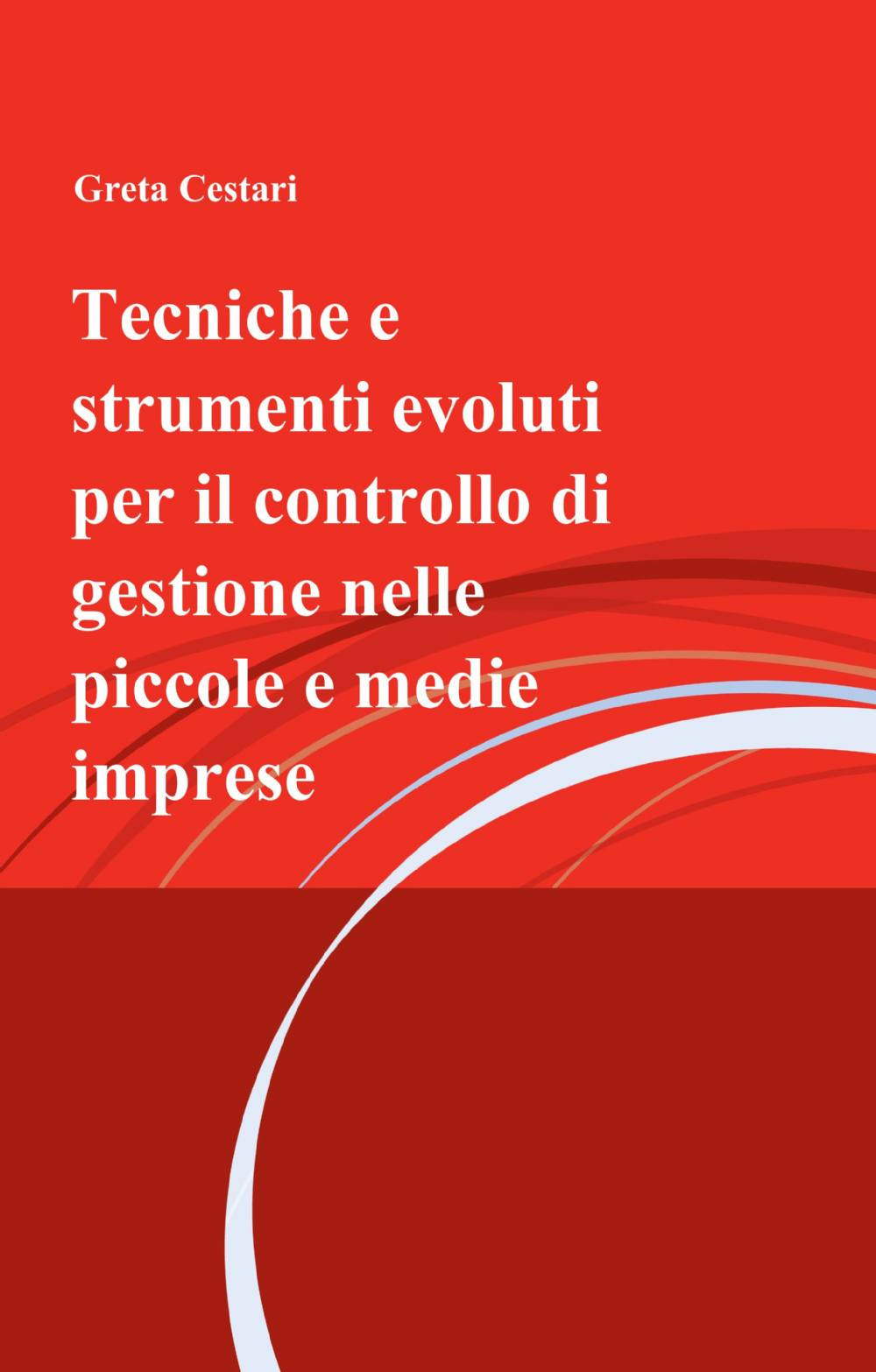 Tecniche e strumenti evoluti per il controllo di gestione nelle piccole e medie imprese
