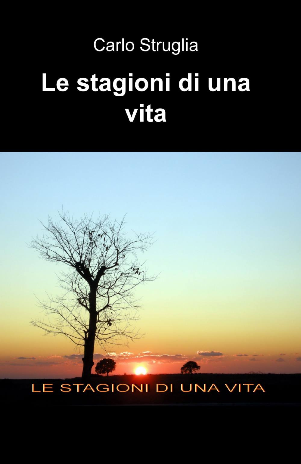 Le stagioni di una vita