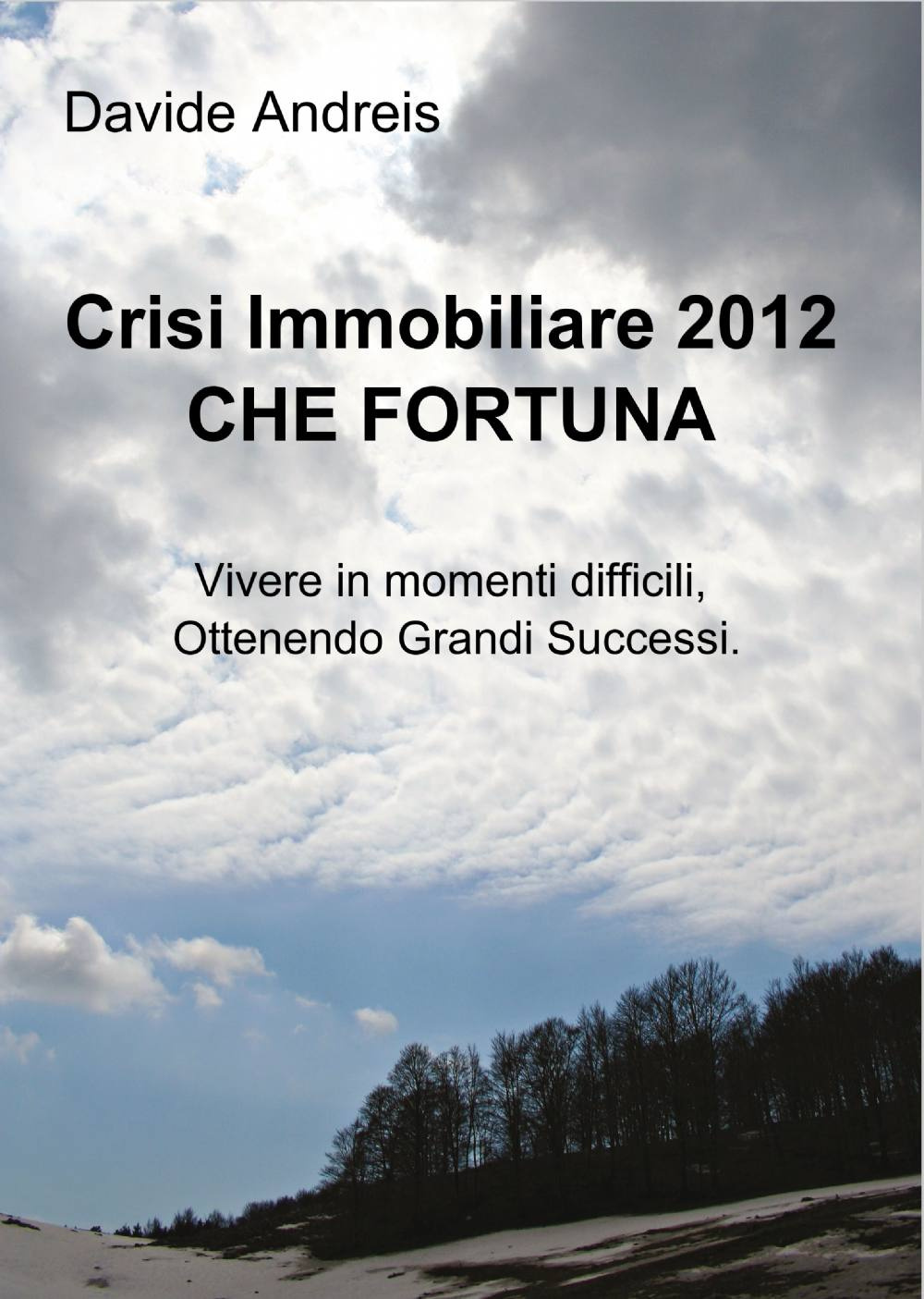 Crisi immobiliare 2012 che fortuna