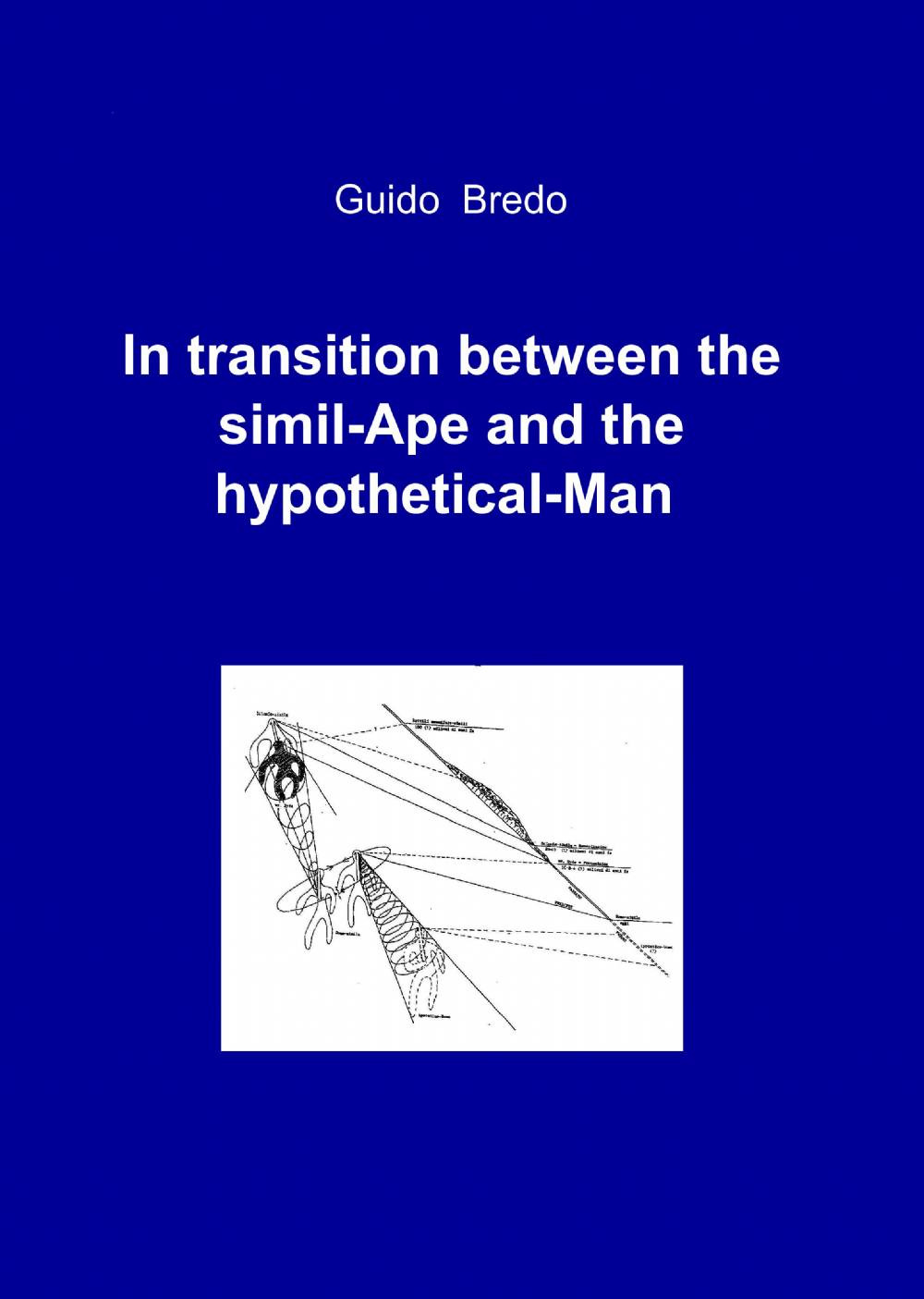 In transition between the simil-ape and the hypothetical-man