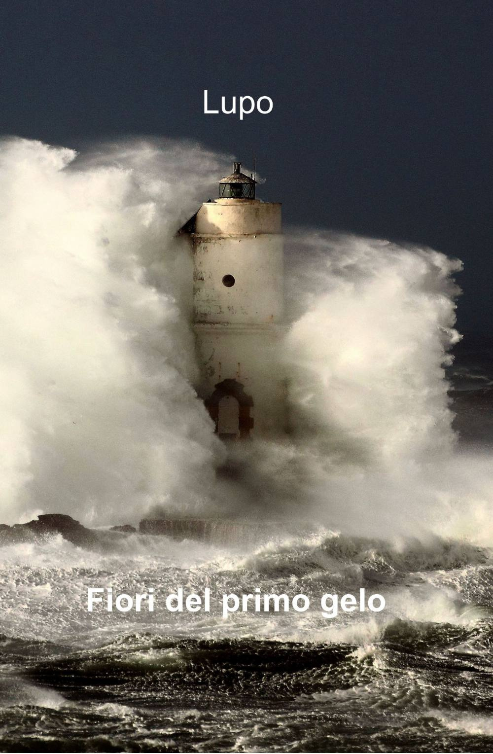 Fiori del primo gelo
