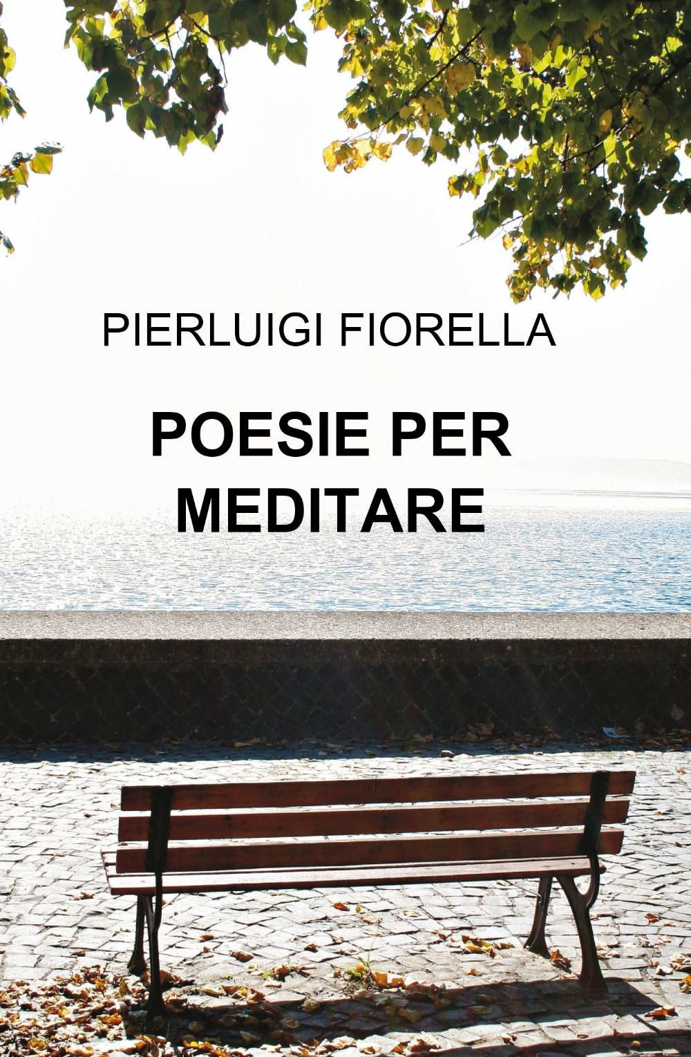 Poesie per meditare