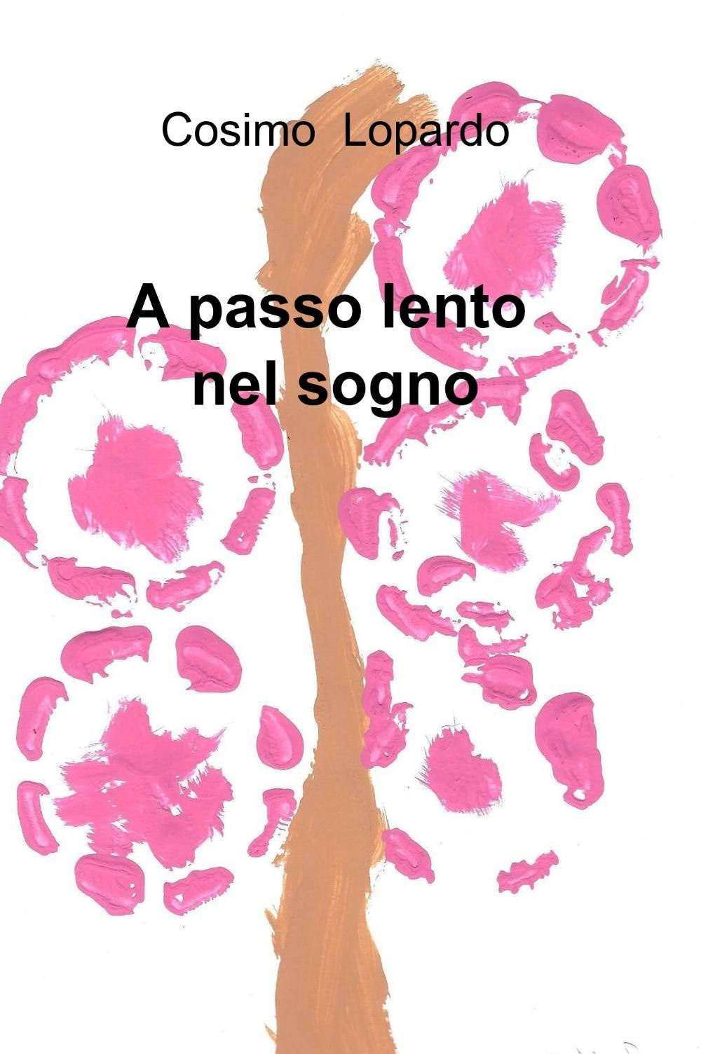 A passo lento nel sogno