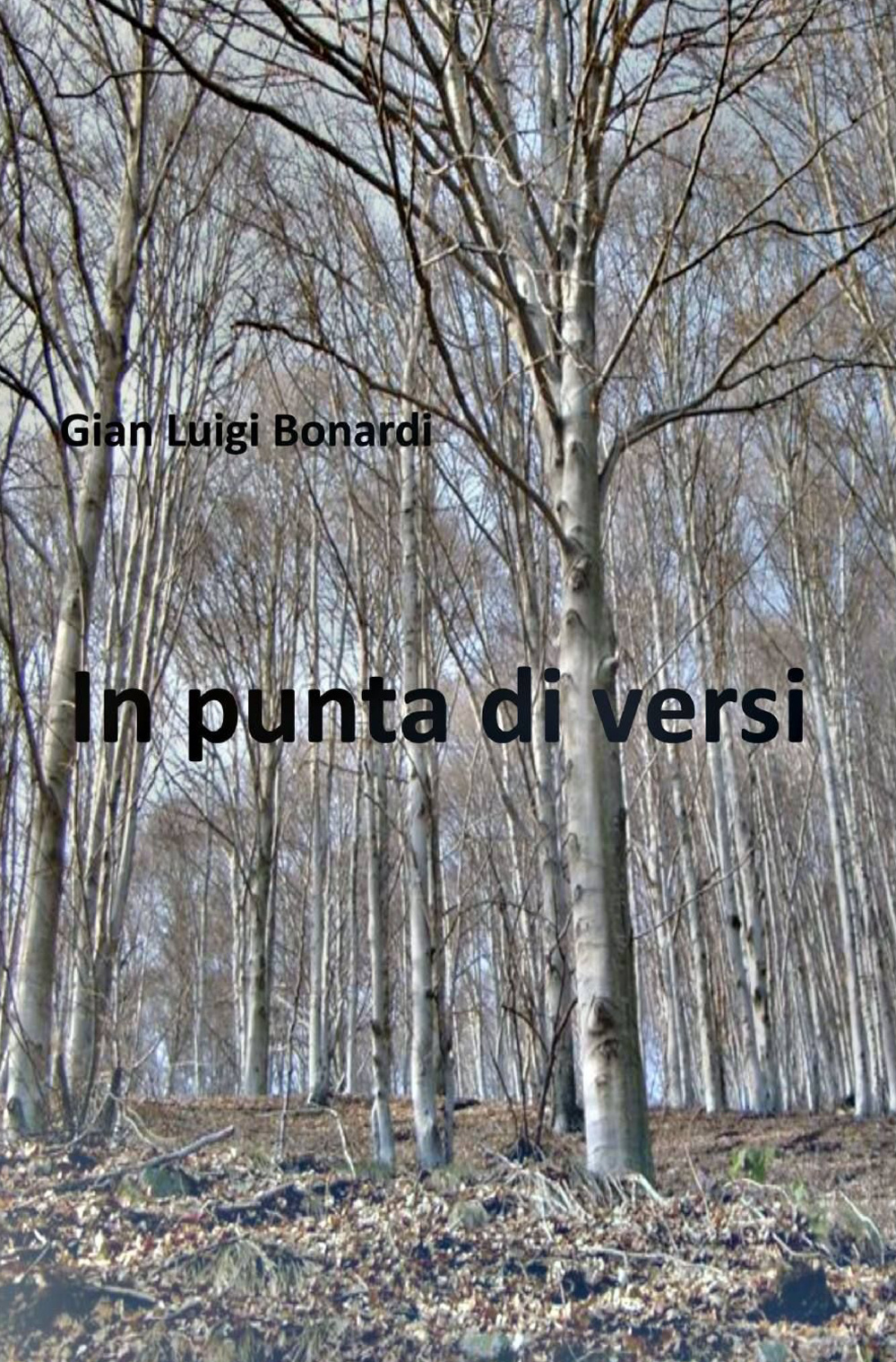 In punta di versi