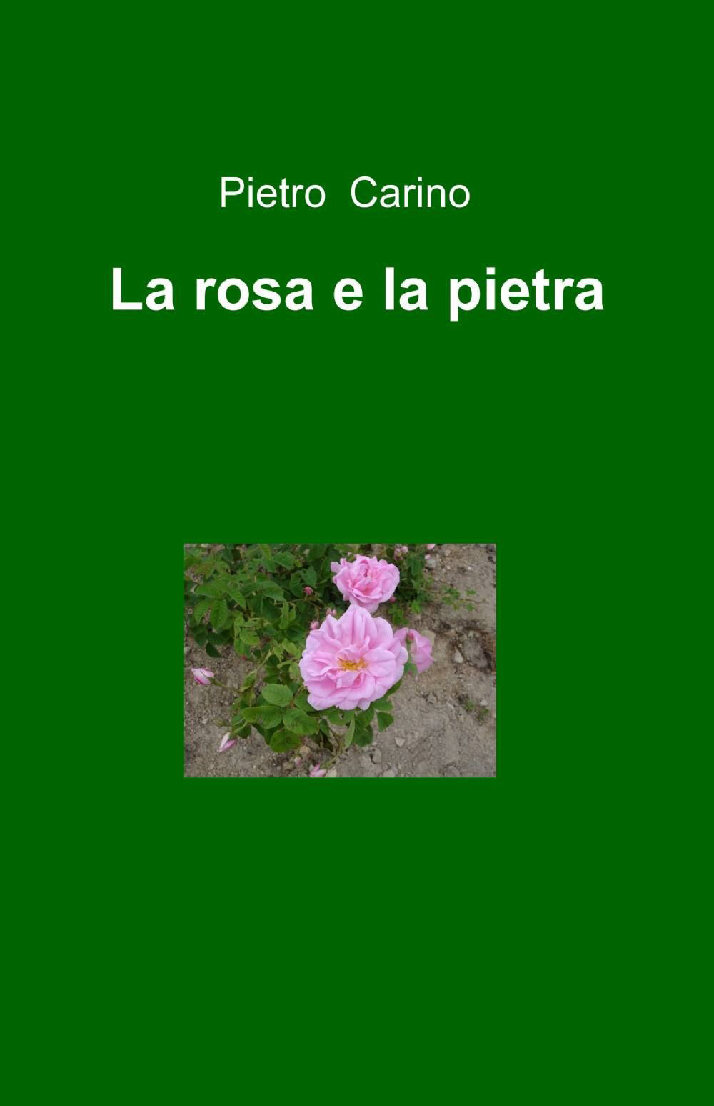 La rosa e la pietra