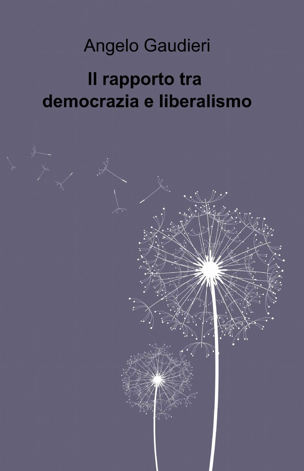 Il rapporto tra democrazia e liberalismo