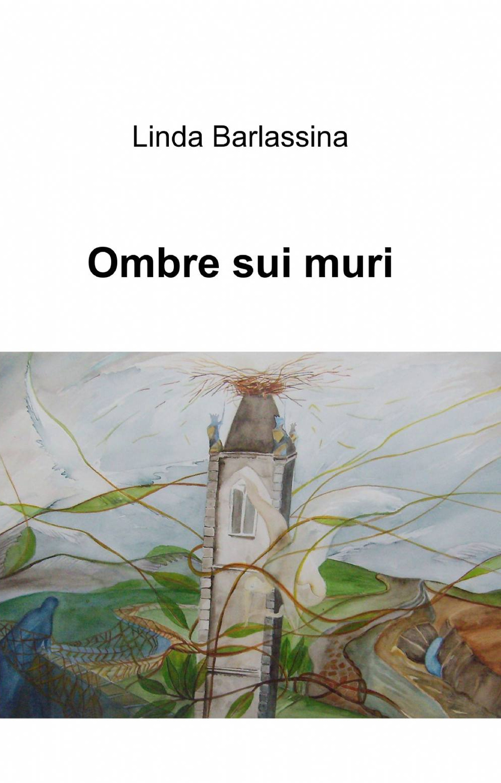 Ombre sui muri
