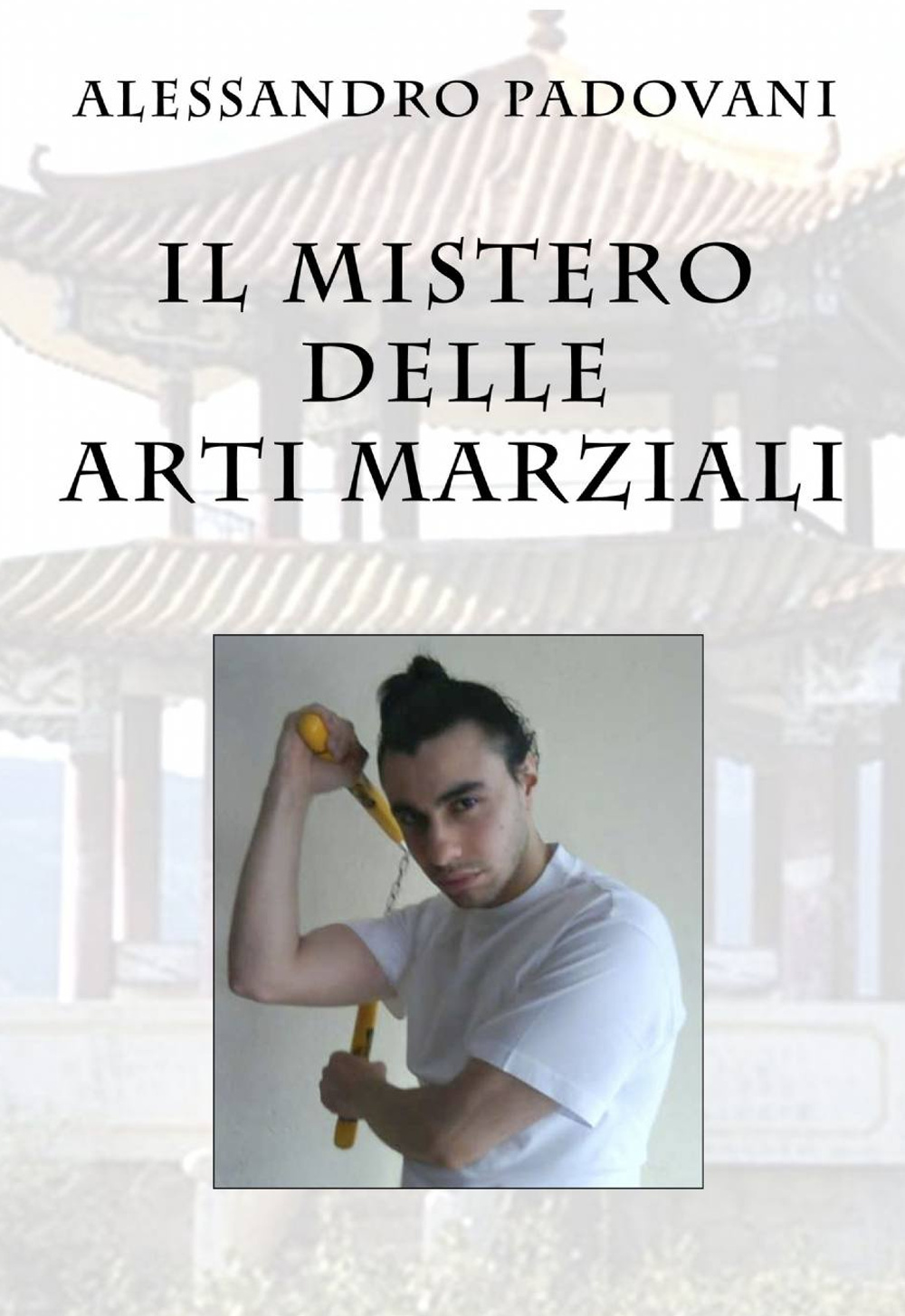 Il mistero delle arti marziali