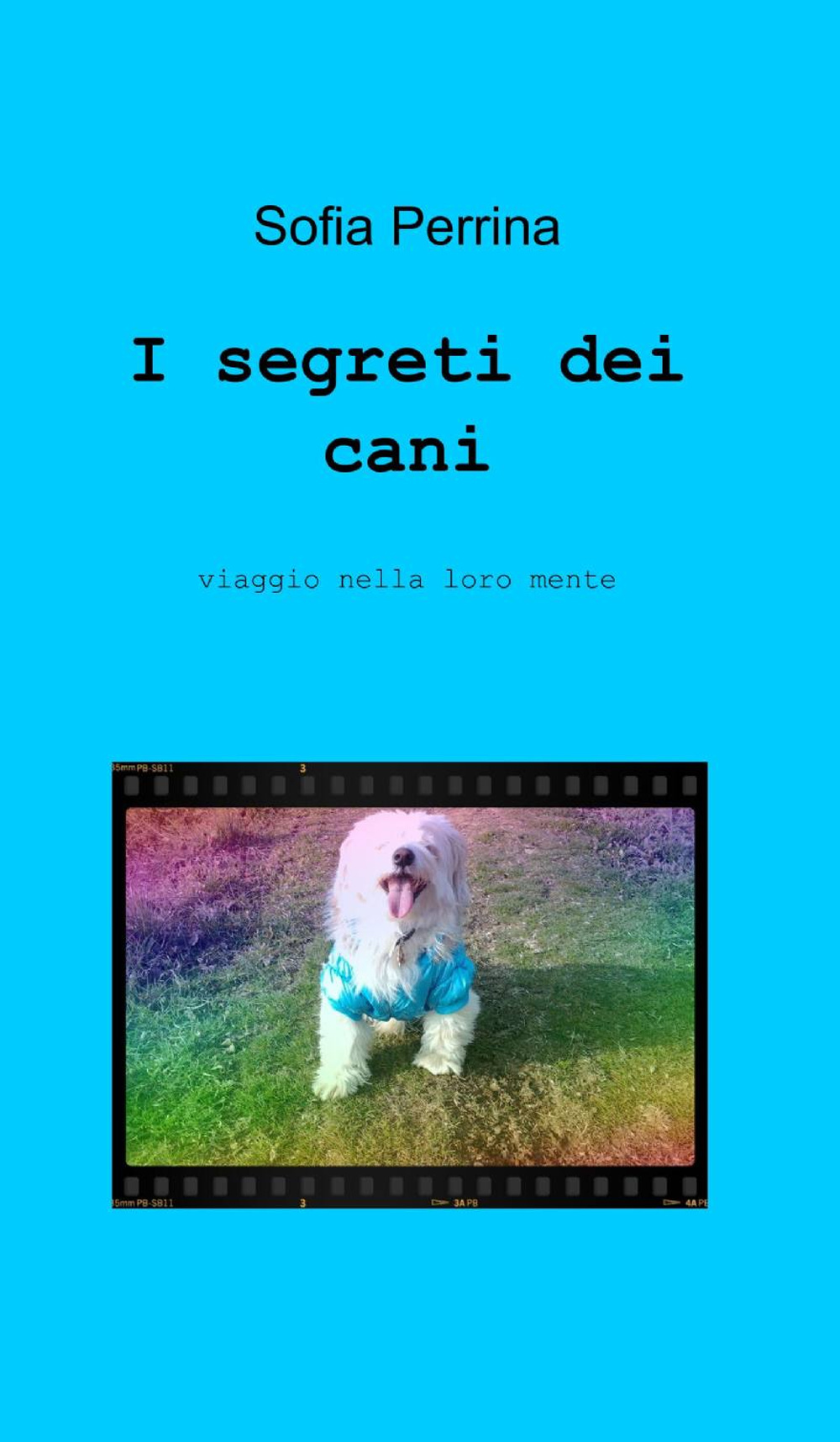 I segreti dei cani
