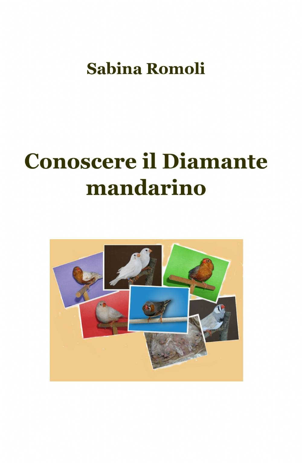 Conoscere il diamante mandarino
