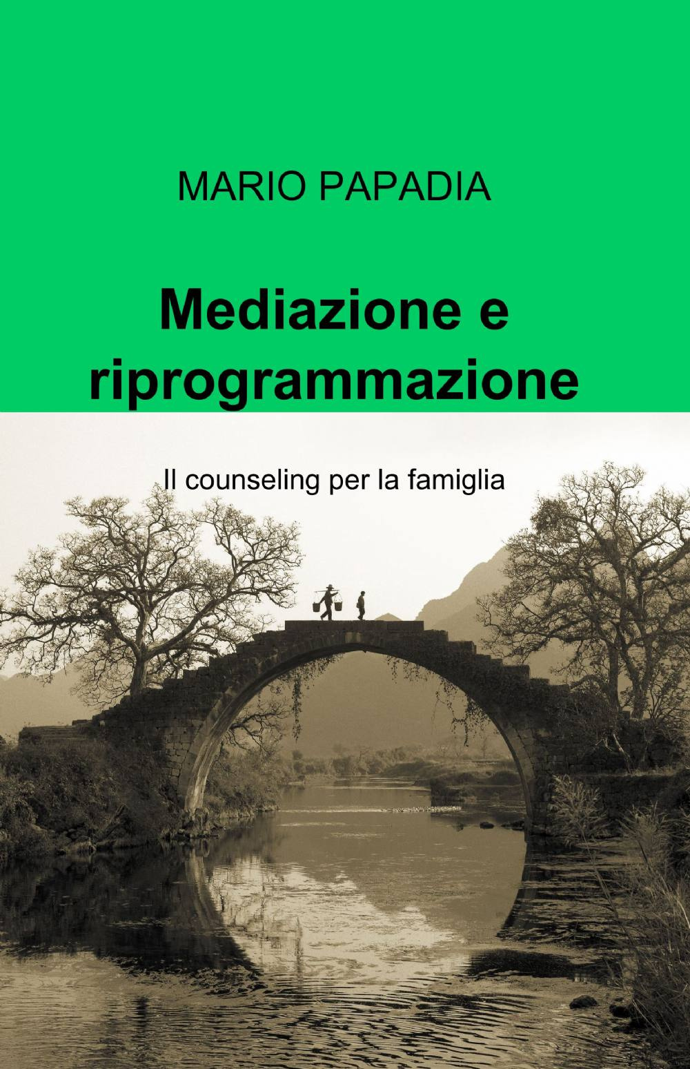 Mediazione e riprogrammazione