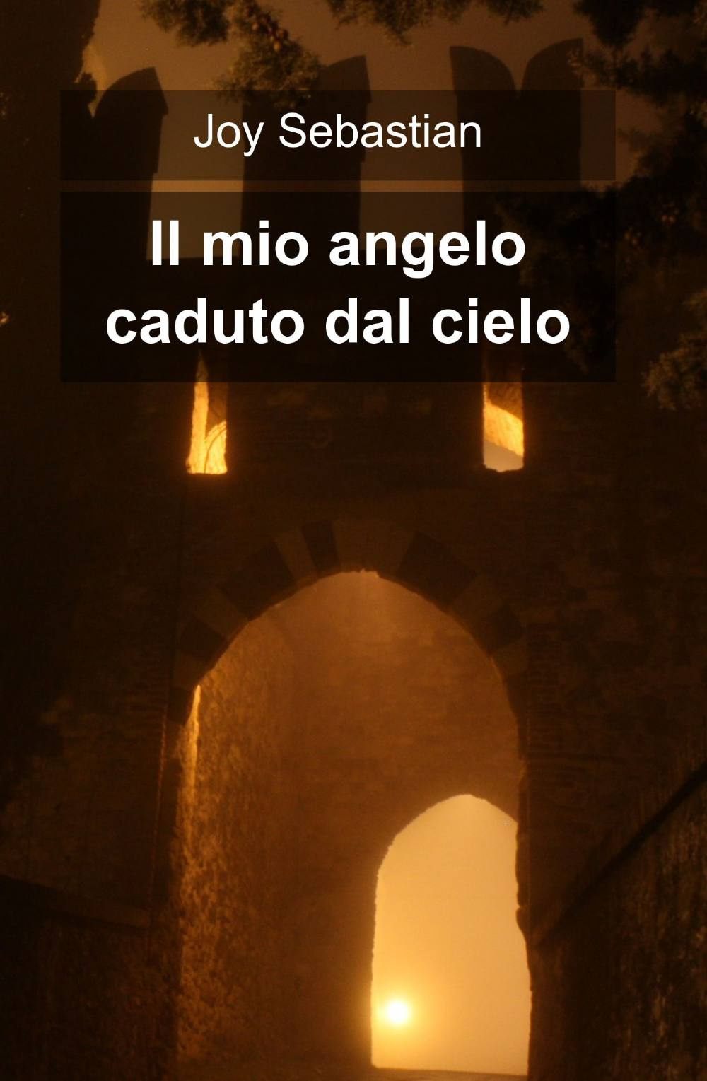 Il mio angelo caduto dal cielo