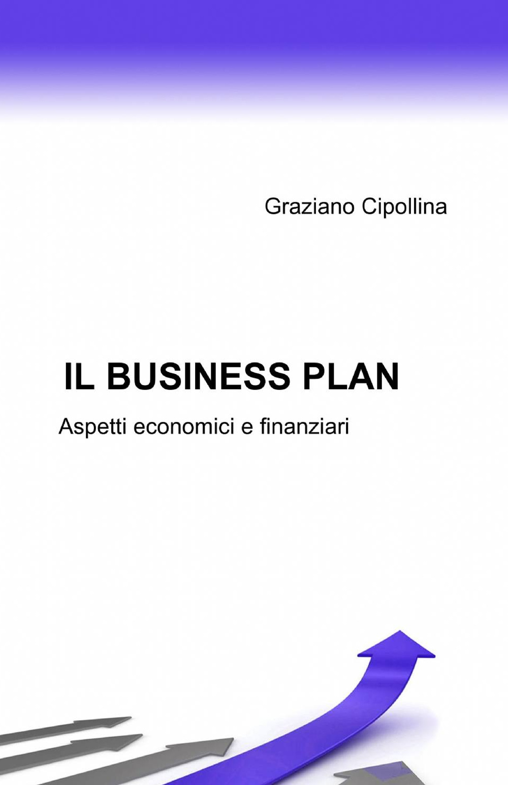 Il business plan