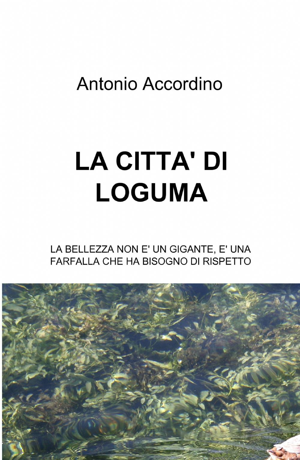La città di Loguma