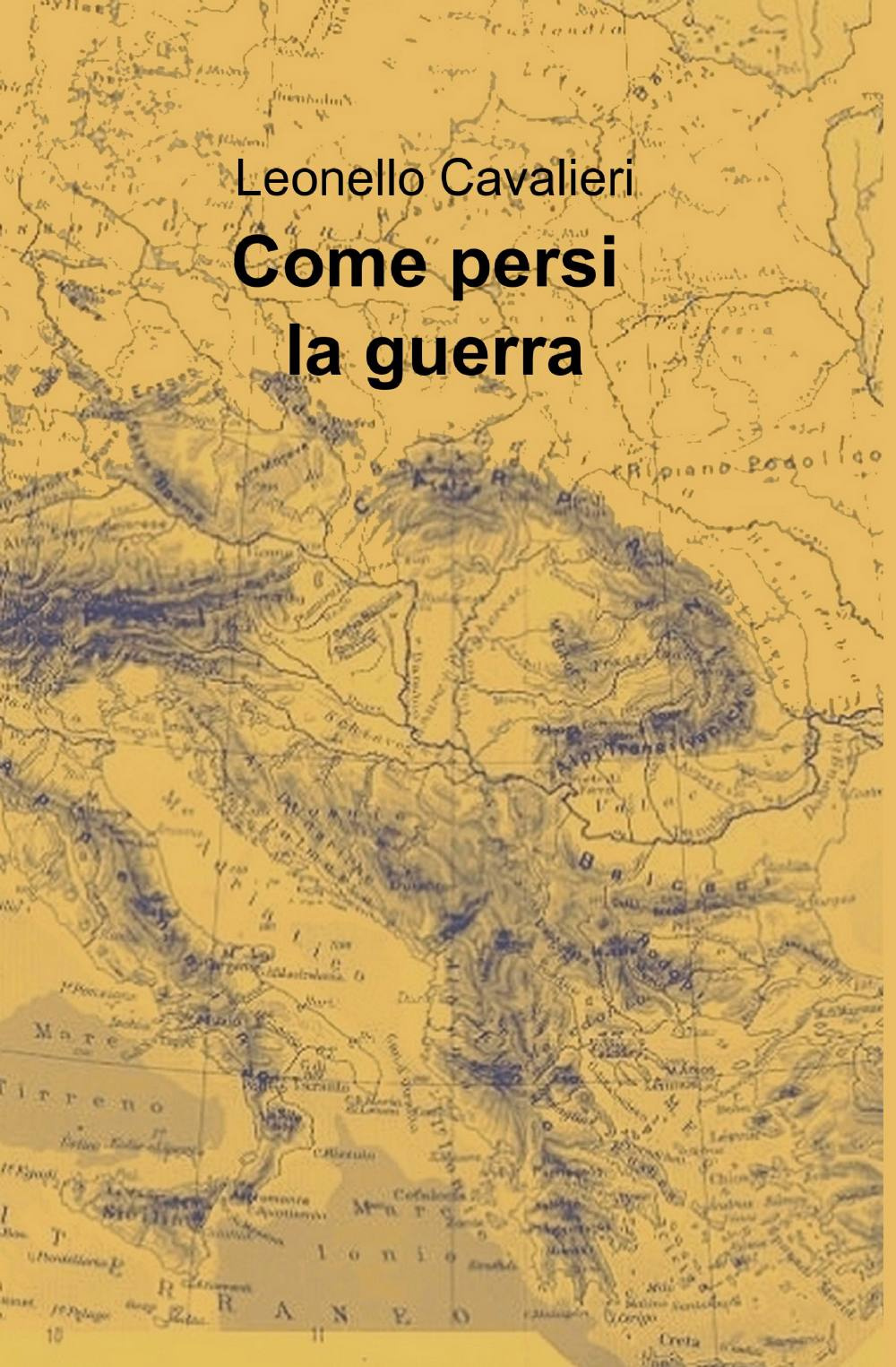 Come persi la guerra