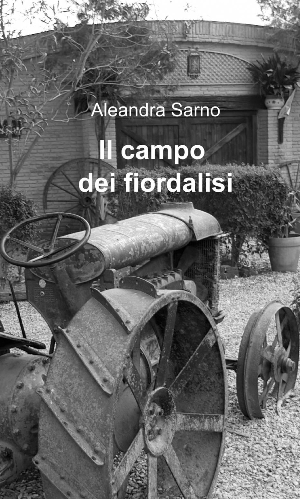 Il campo dei fiordalisi