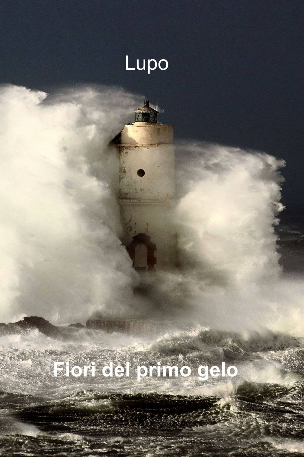 Fiori del primo gelo