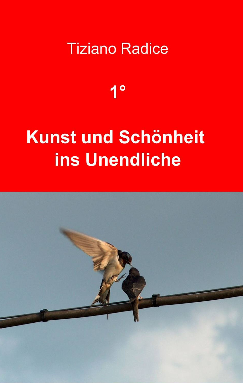 1° kunst und schönheit ins unendliche