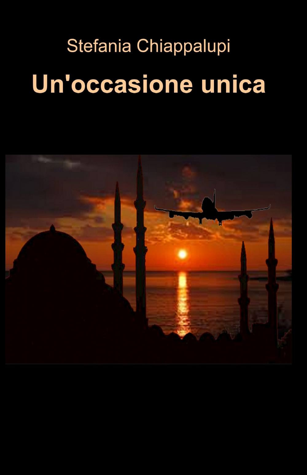 Un'occasione unica