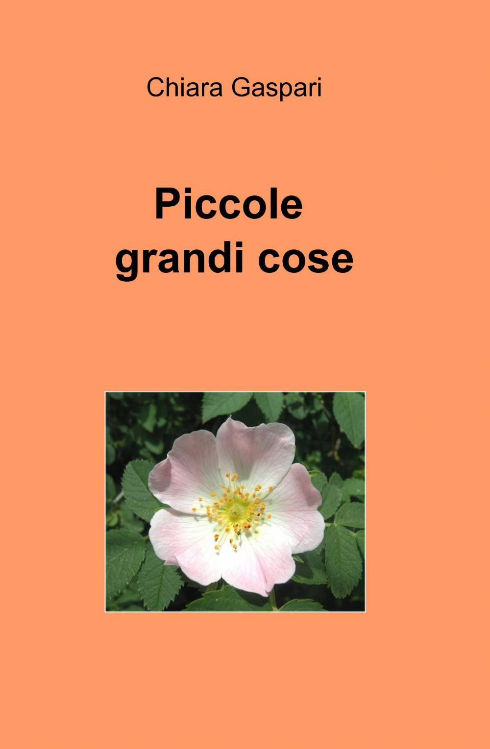 Piccole grandi cose