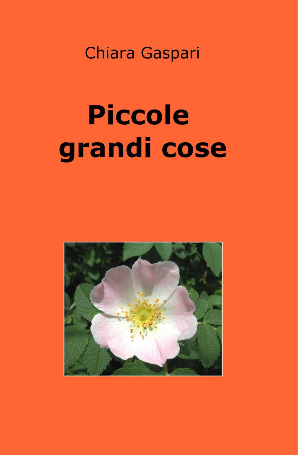 Piccole grandi cose