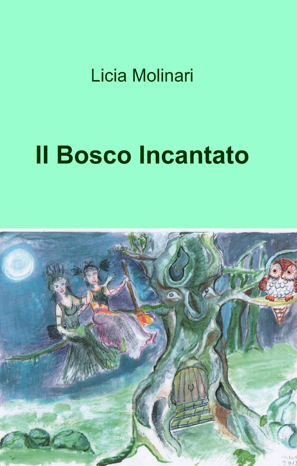 Il bosco incantato