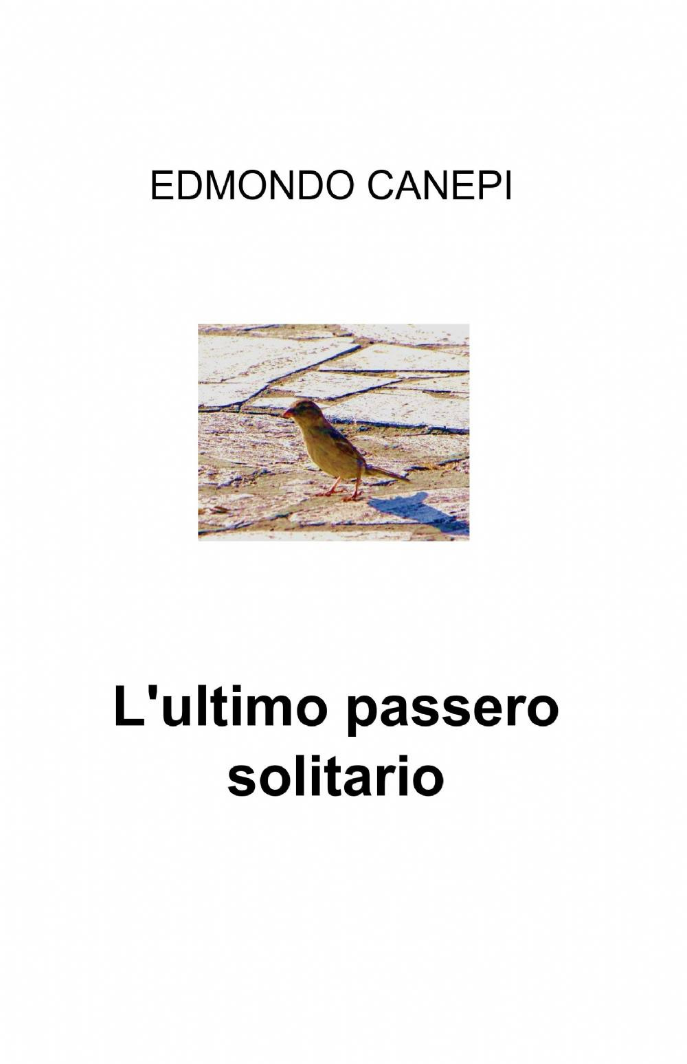L'ultimo passero solitario