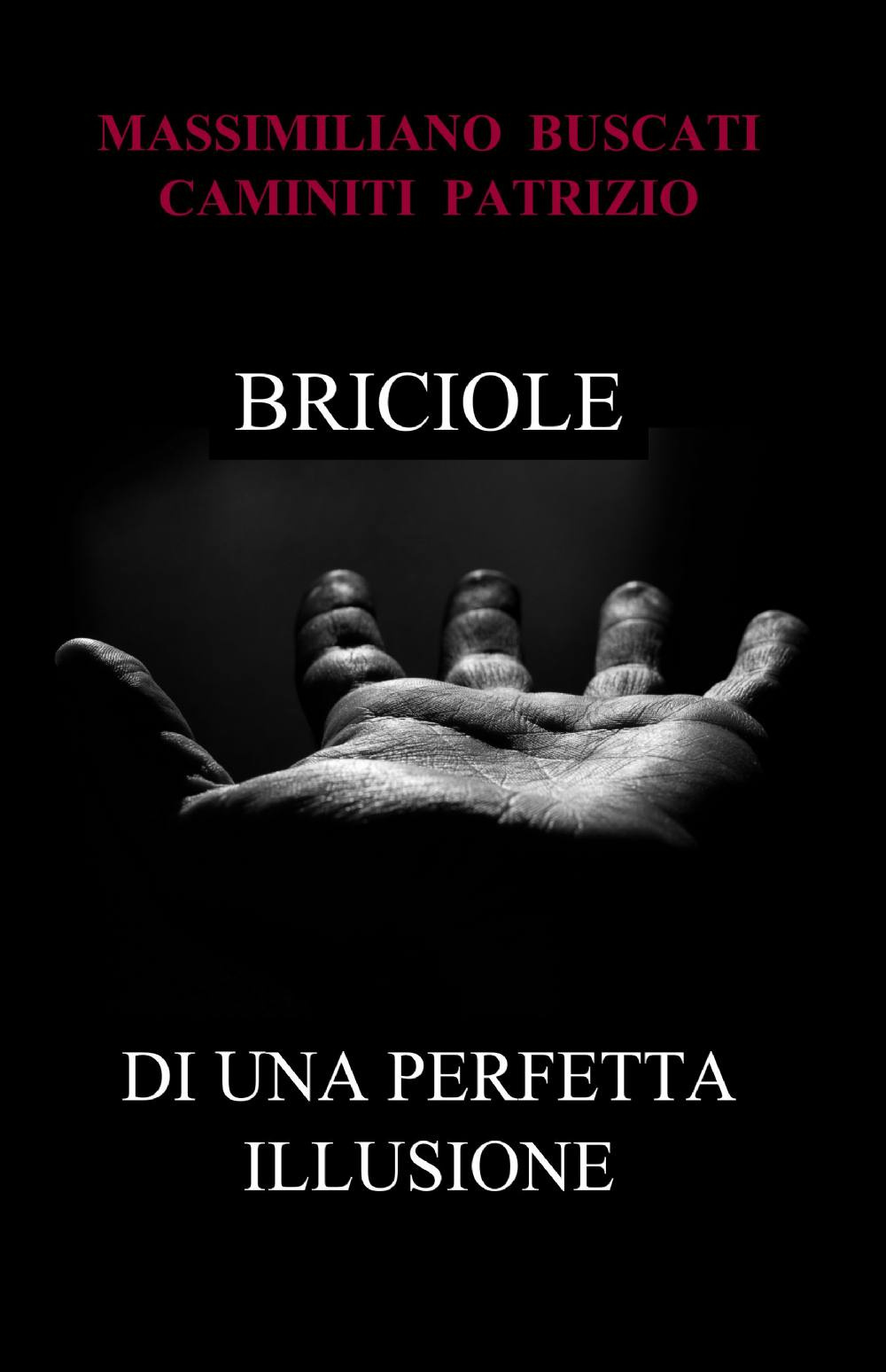 Briciole di una perfetta illusione