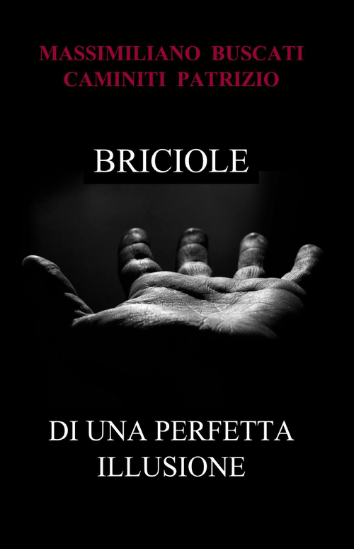 Briciole di una perfetta illusione