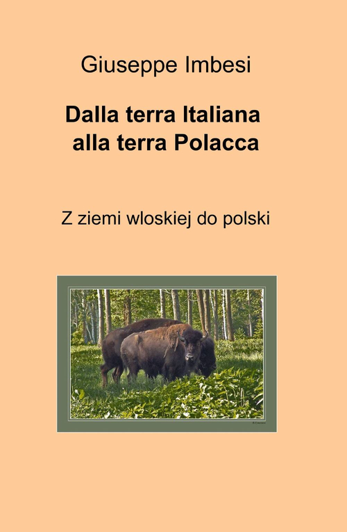 Dalla terra italiana alla terra polacca. Vol. 1
